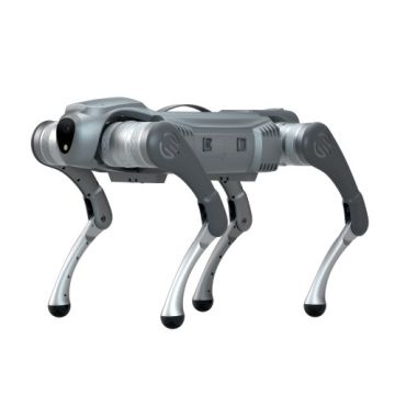 Galileo C1 Small Quadruped Robot Dog